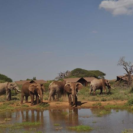 Kilima Safari Camp Hotel Oloitokitok Kültér fotó